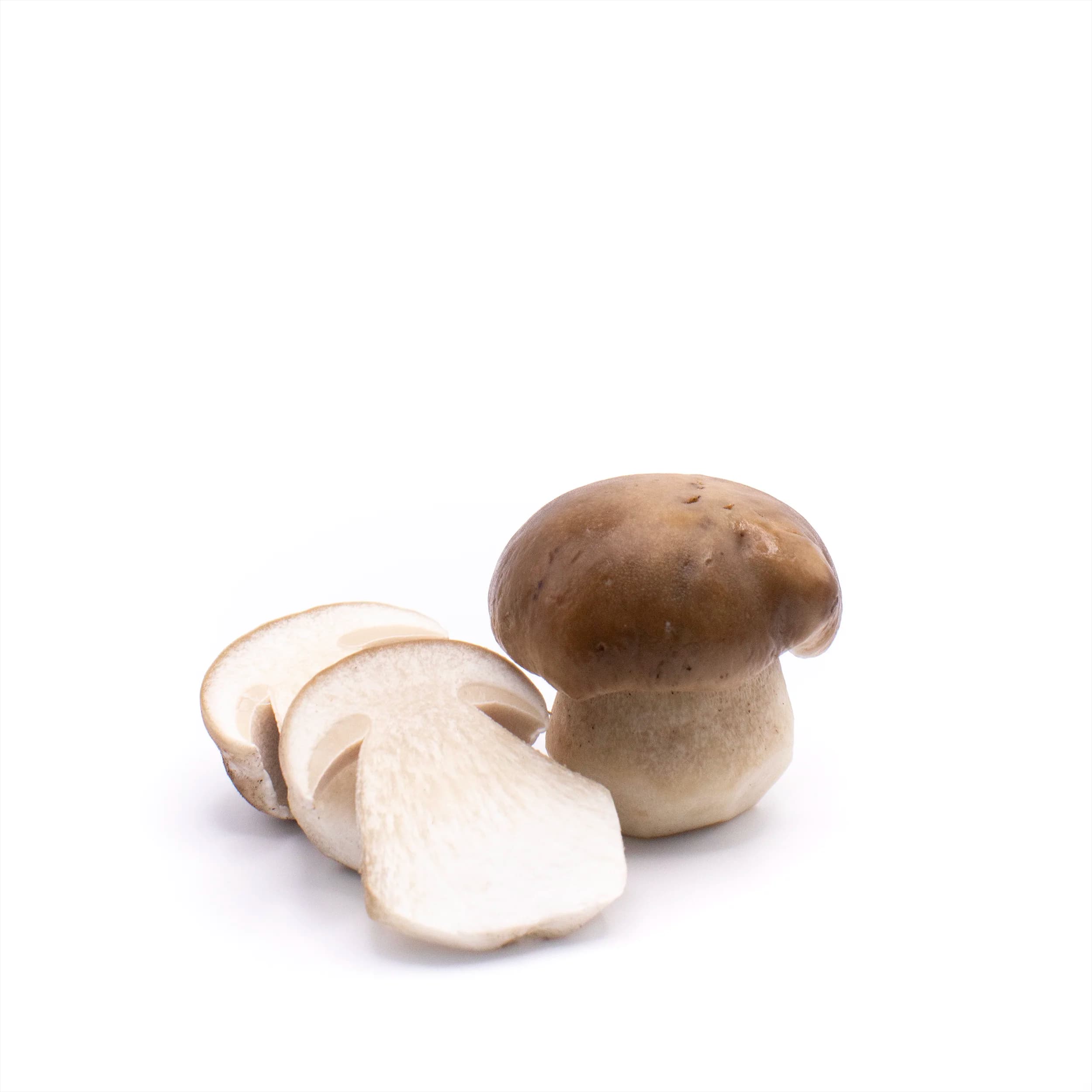 King bolete product photo