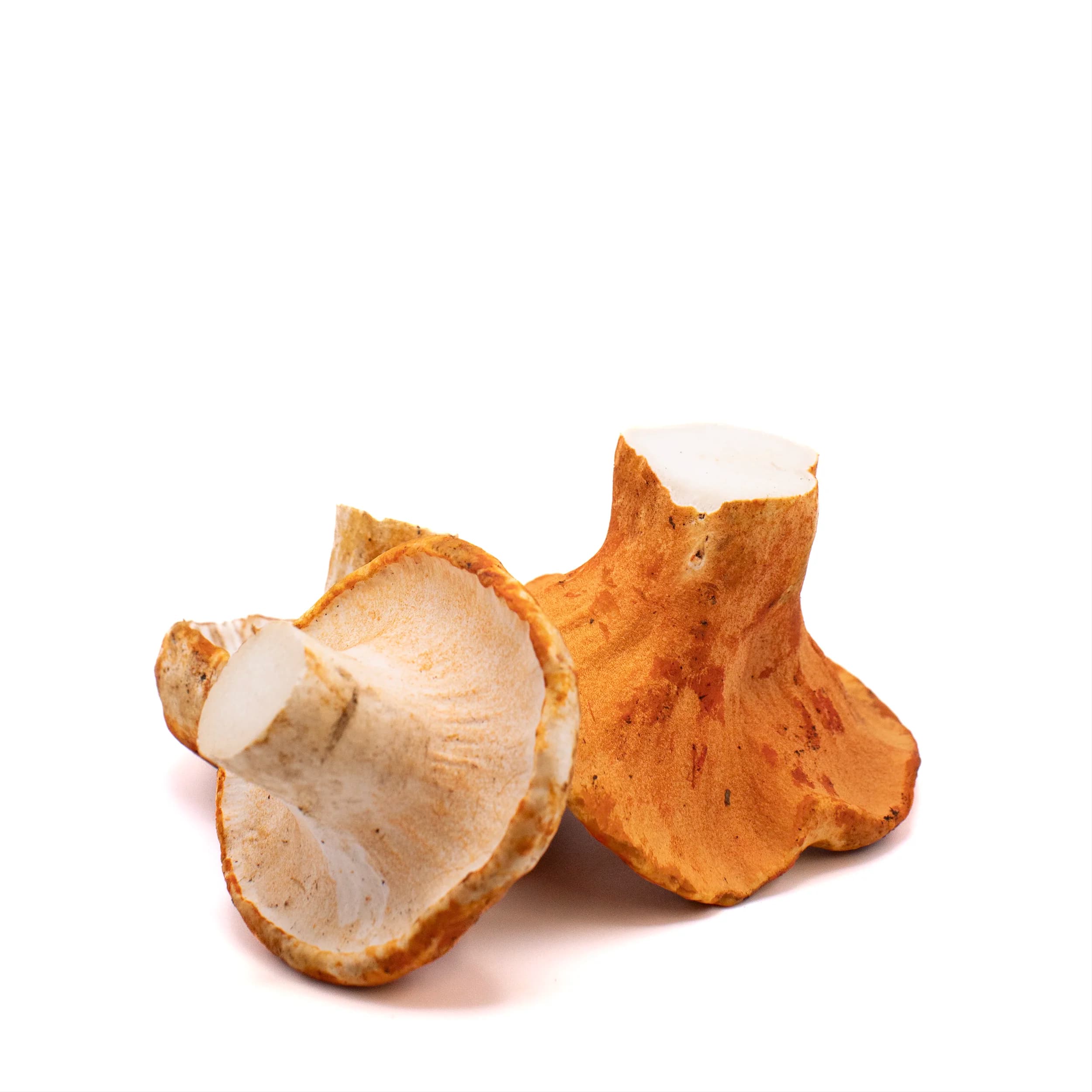 Lobster mushroom product photo