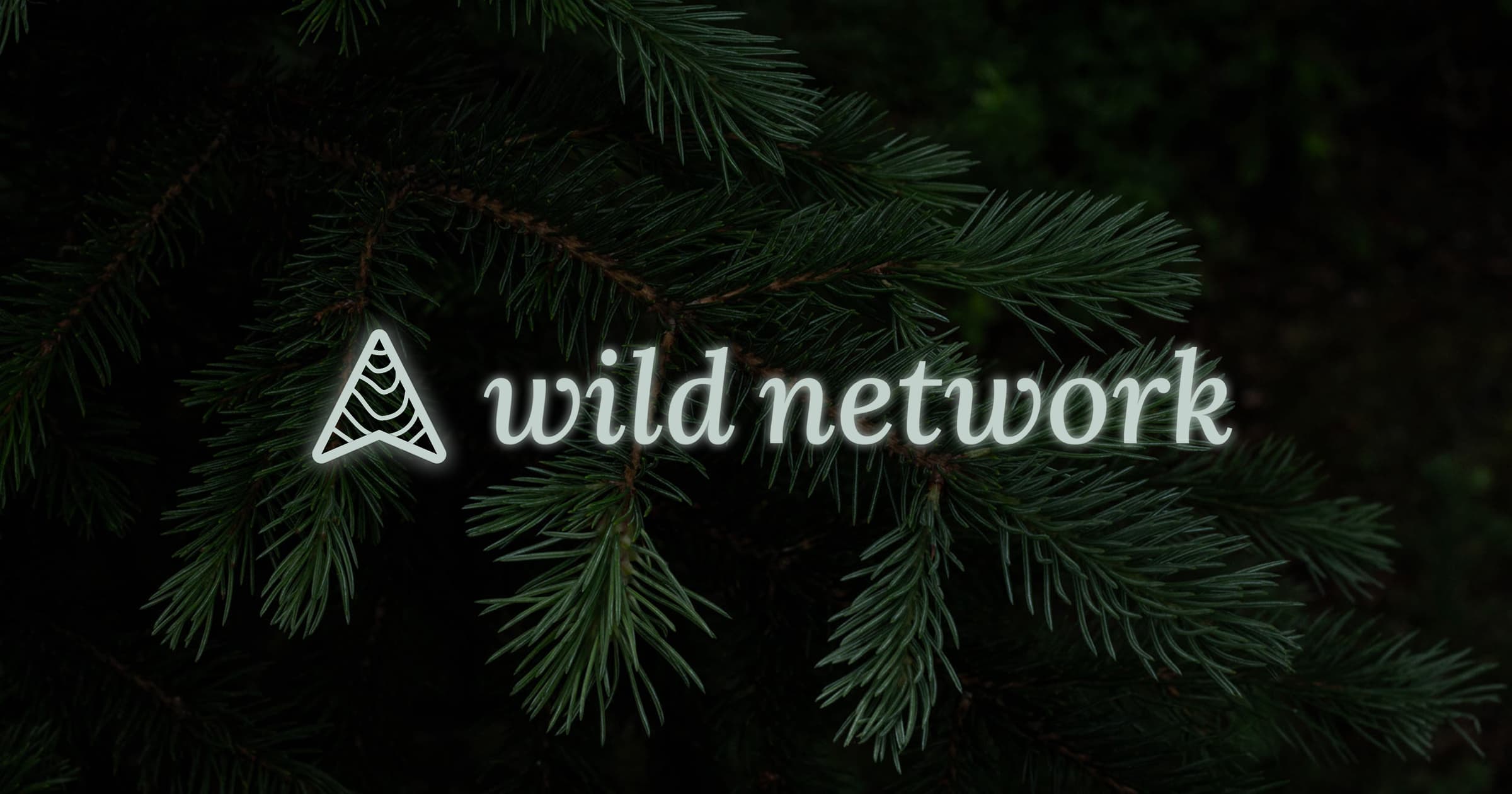 Wild Network wordmark and mark on evergreen at dusk