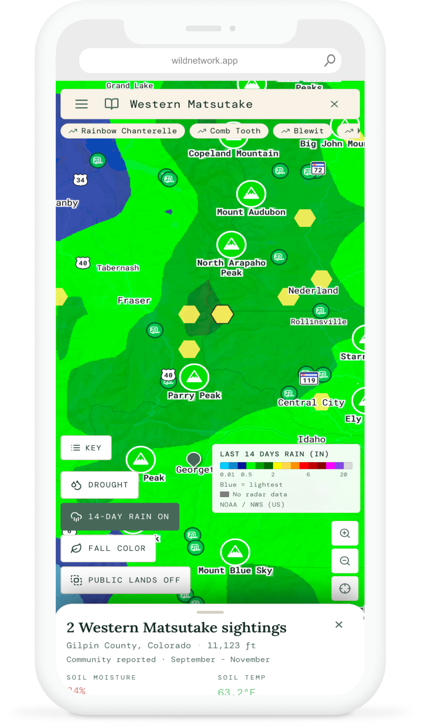 Wild Network map interface on a phone
